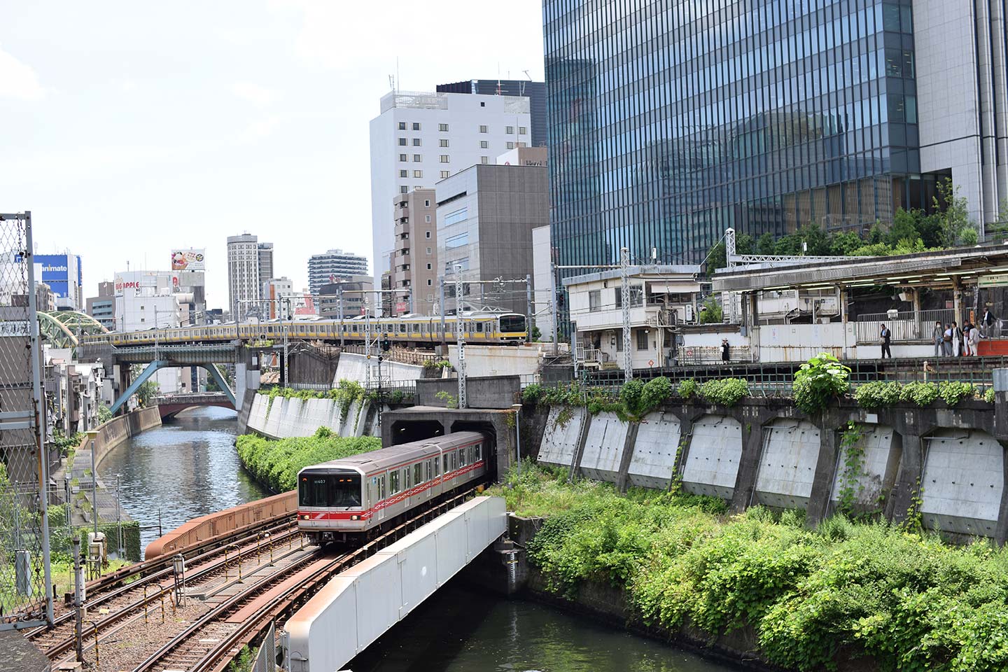 神田川